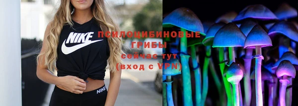 стафф Аркадак