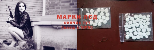 стафф Аркадак