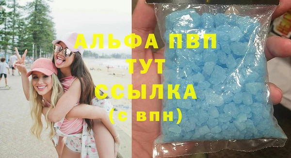 стафф Аркадак