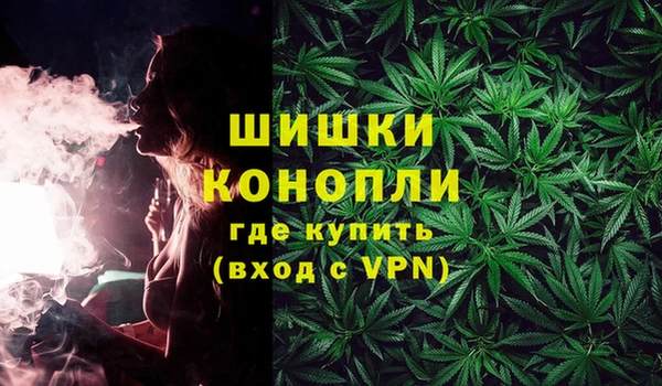 стафф Аркадак
